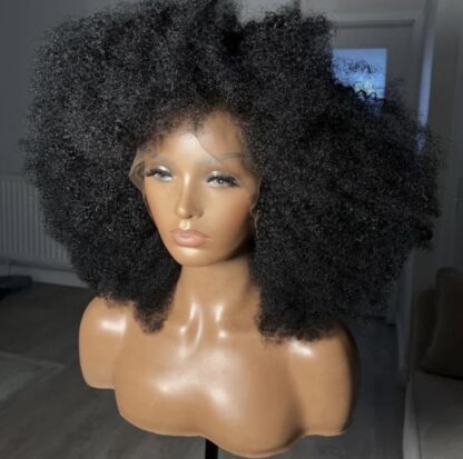 PERRUQUE DE CHEVEUX AFRO KINKY 16 POUCES