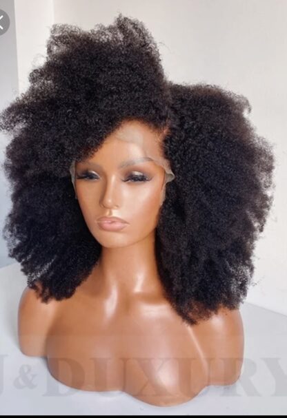 PERRUQUE DE CHEVEUX AFRO KINKY 16 POUCES – Image 2